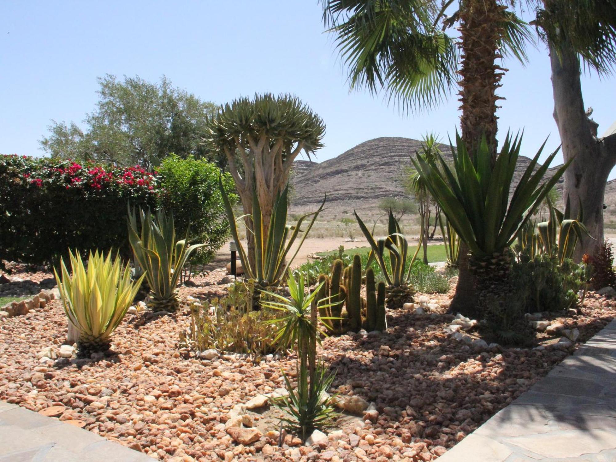 Rooisand Desert Ranch Chausib Rum bild